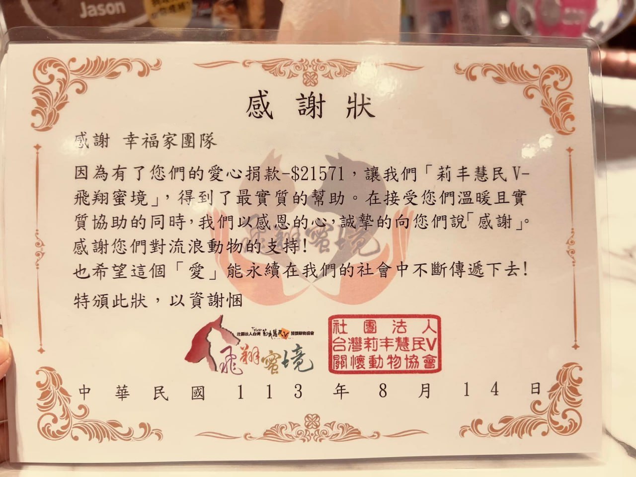 照片6
